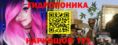 apvp Беслан