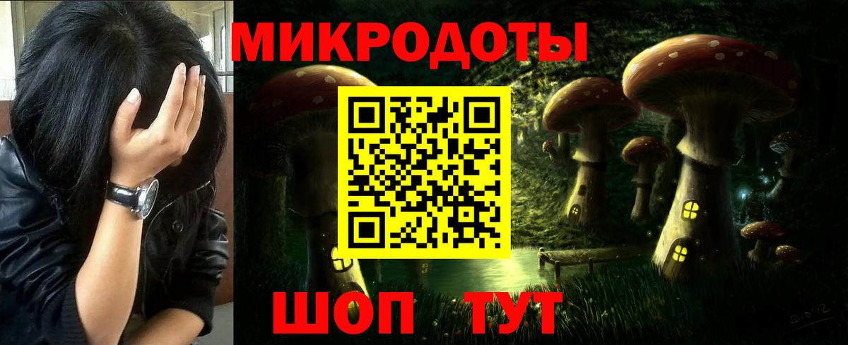 где купить наркоту  Вход с VPN  Каспийск  Галлюциногенные грибы Psilocybe 